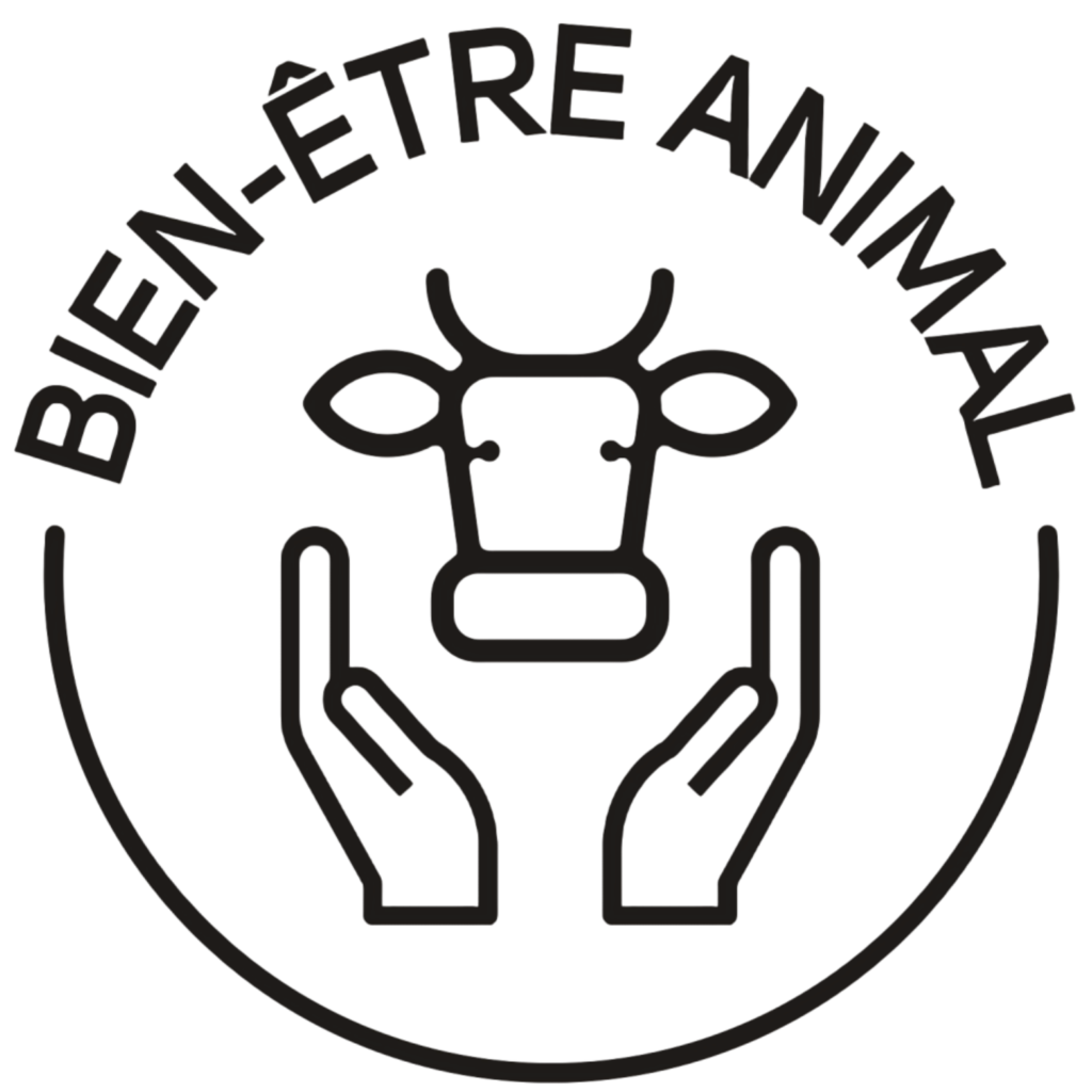 bien être animal vos boucher sont attentif eu respect de l'animal